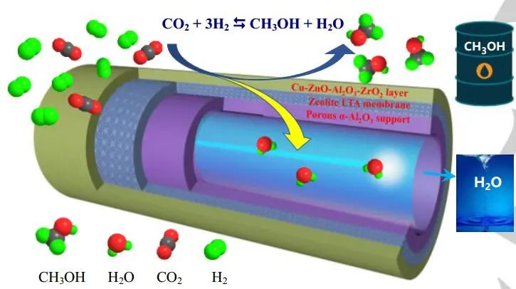 最新催化匯總：3篇Angew.、2篇JACS、2篇Nano Lett.和1篇Science子刊