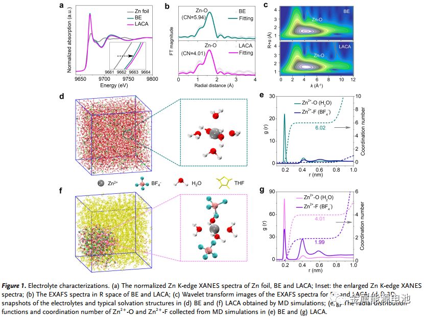 【DFT+實(shí)驗(yàn)】Angew：低溫鋅金屬電池的局部陰陽離子聚集加速水電解質(zhì)—Jian Yang