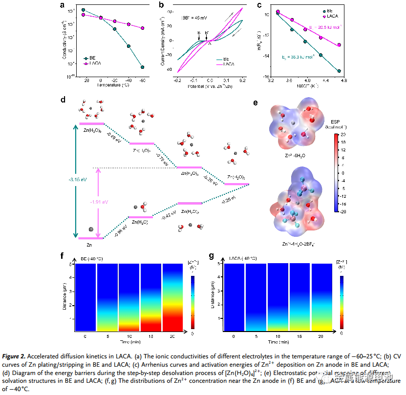 【DFT+實(shí)驗(yàn)】Angew：低溫鋅金屬電池的局部陰陽離子聚集加速水電解質(zhì)—Jian Yang