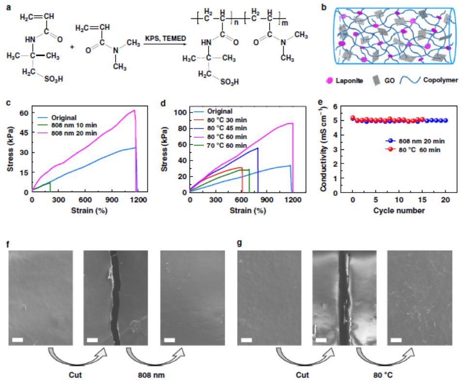 同濟(jì)陳濤Nature子刊：可拉伸、可修復(fù)高分子復(fù)合水凝膠超級(jí)電容器