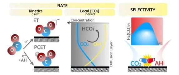 Acc. Chem. Res.：CO2電化學(xué)還原至CO過程中電解液的作用