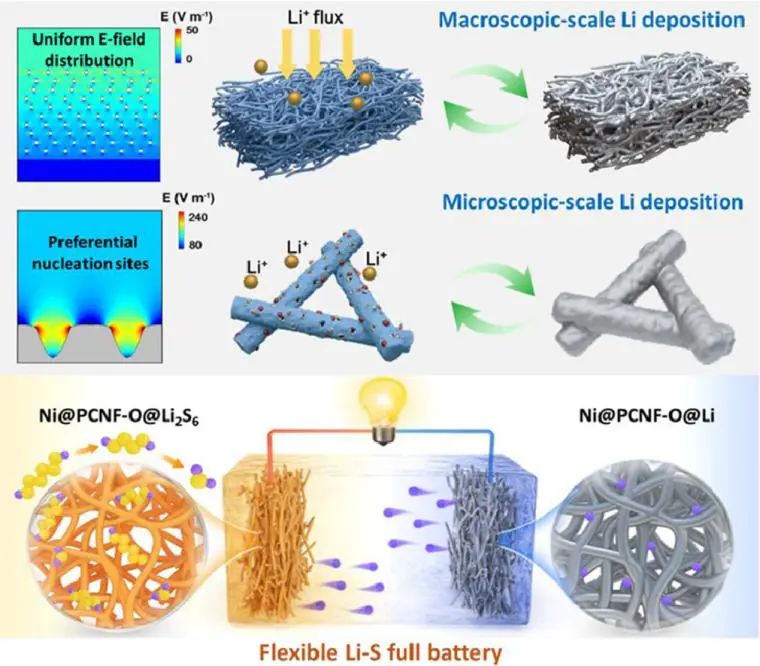 劉天西/繆月娥EnSM: 氧官能化多孔框架上的可調電場分布觸發(fā)的柔性鋰硫全電池的多尺度均勻鋰調控