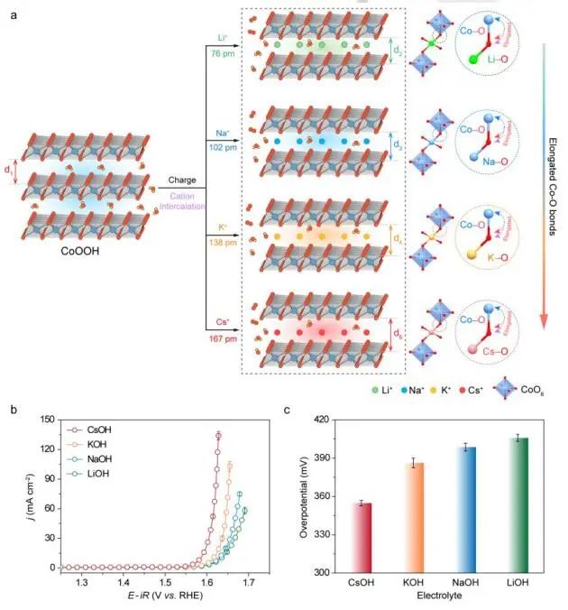 武漢大學(xué)羅威教授Angew：CoOOH催化OER的電解質(zhì)離子依賴性動力學(xué)