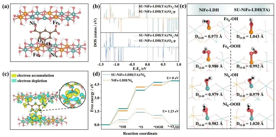 Nature子刊：三聚酸修飾的亞尺寸鎳鐵-層狀雙氫氧化物納米片催化劑增強(qiáng)水氧化