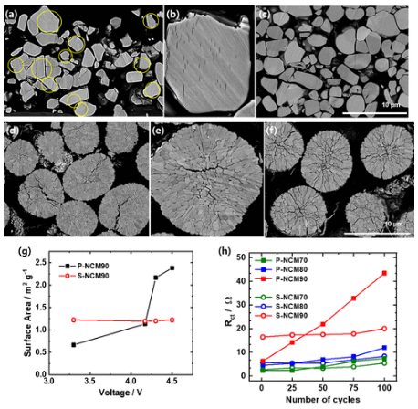 ACS Energy Lett.：富鎳單晶NCM正極的容量衰減機(jī)制