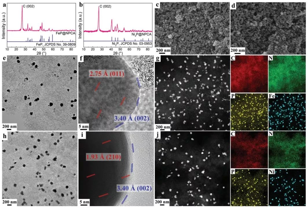 【催化】東華大學(xué)AFM：雙金屬凝膠自模板法轉(zhuǎn)化為異質(zhì)結(jié)構(gòu)的金屬磷化物電催化劑，促進(jìn)雙功能電催化