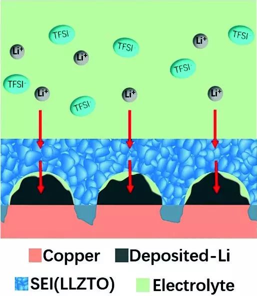 夏永姚＆王永剛Angew. 三維泡沫銅上固定人工SEI膜，長(zhǎng)壽命/高倍率/大沉積量/高庫倫效率金屬鋰負(fù)極