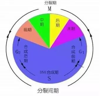 【制圖干貨】從細節(jié)入手，頂刊paper中的箭頭怎么畫？