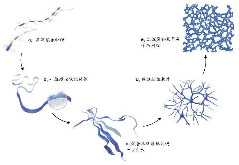 北大一篇充滿藝術(shù)感的AM，裴堅(jiān)團(tuán)隊(duì)實(shí)現(xiàn)聚合物單分子層最高電子遷移率