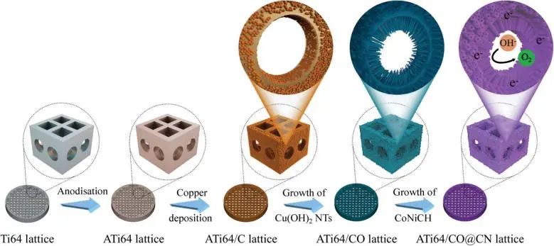 南科大Adv. Sci.: 3D打印立大功！打印出Ti64基晶格電催化劑用于穩(wěn)定析氧