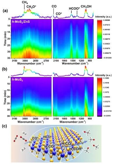 ?曾華淳ACS Catalysis: 邊緣受限的少層MoS2納米盒用于CO2高效加氫制甲醇