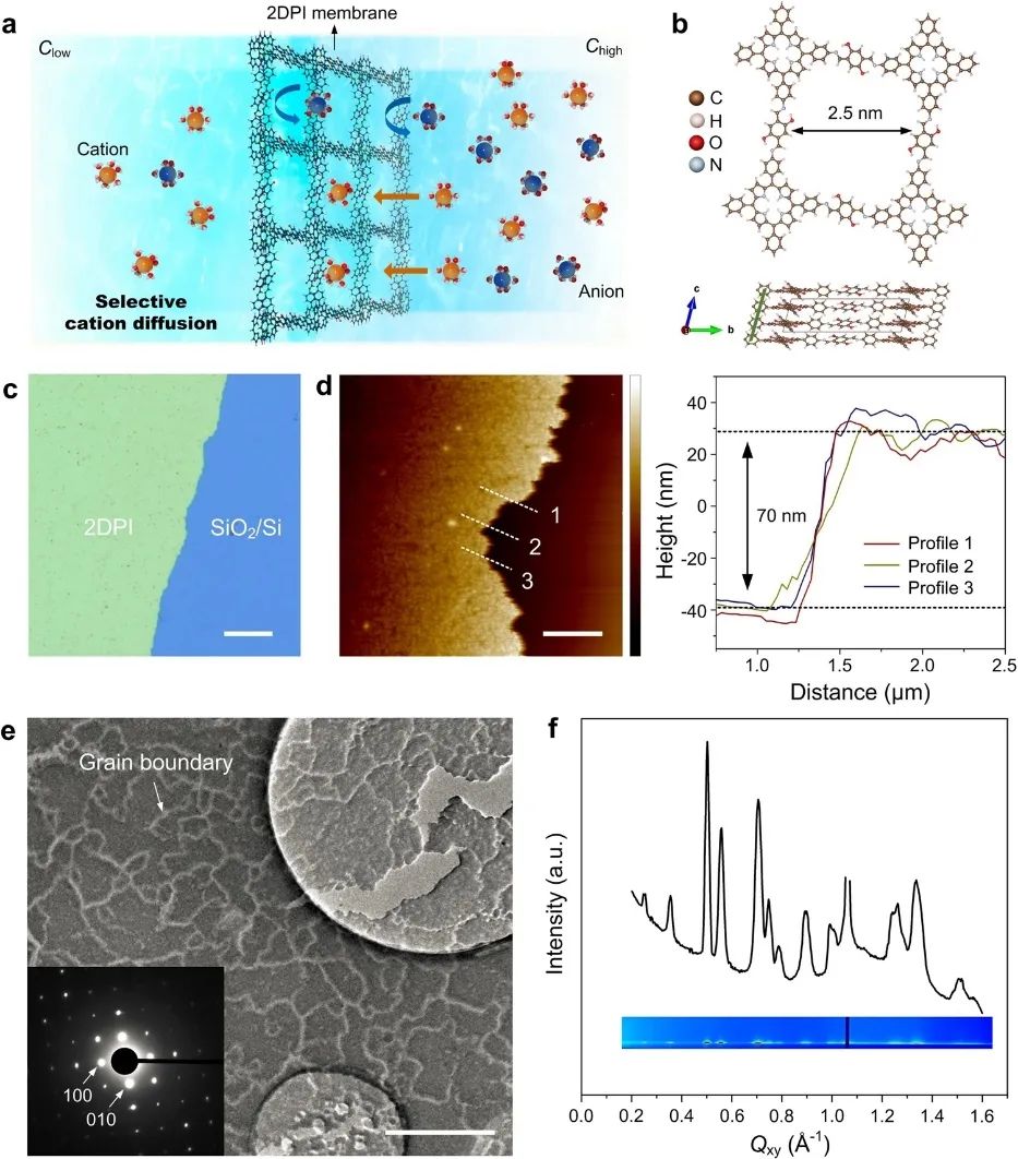 ?馮新亮院士團隊，最新Nature子刊！