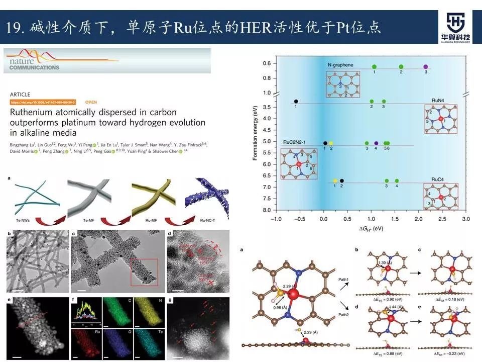 科研這杯酒，誰喝都得醉！2019年電催化領域高被引工作，先干為敬！