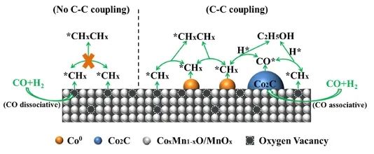 王悅課題組ACS Catalysis：氧空位起大作用，促進(jìn)CoMnOx選擇性催化合成高級(jí)醇