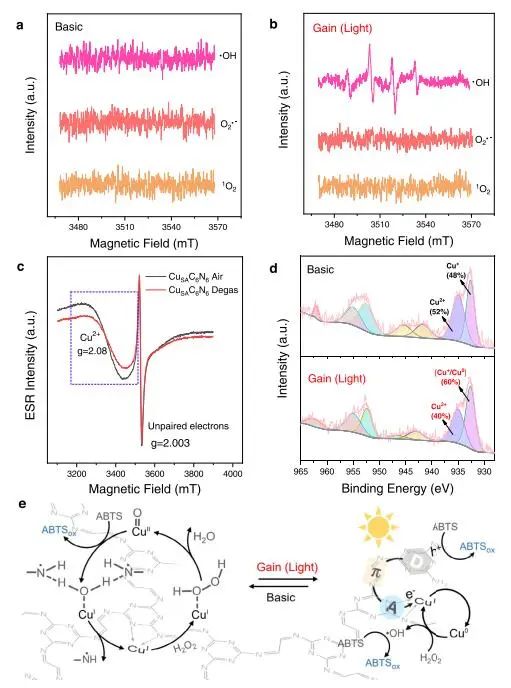 【計算+實(shí)驗(yàn)】8篇頂刊速遞：Nature子刊、JACS、AEM、AFM、ACS Catalysis等！