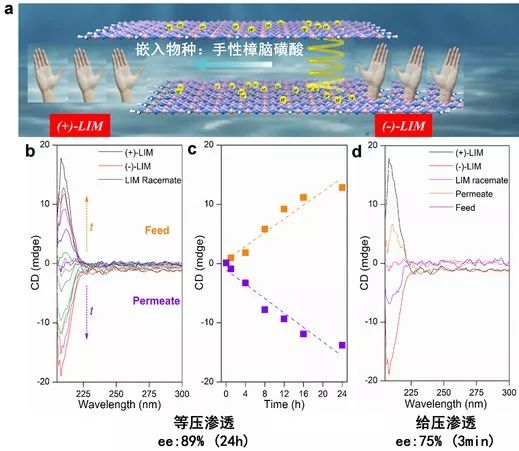 【頂刊】中科大劉波課題組Nature子刊：調(diào)控GCN層間距離和層間化學(xué)環(huán)境，實(shí)現(xiàn)二維分離膜高效選擇性滲透