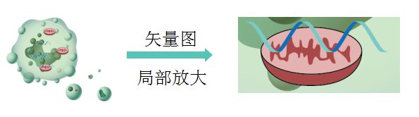 【制圖干貨】給SCI論文配圖時，矢量圖和位圖有什么區(qū)別？