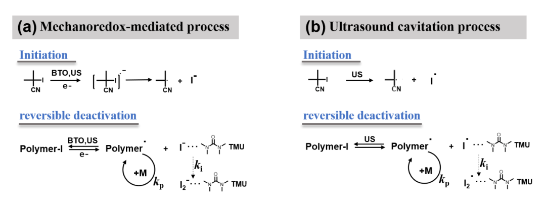 【DFT+實(shí)驗(yàn)】壓電催化劑促進(jìn)超聲輔助的碘調(diào)控可逆失活自由基聚合