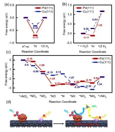 ACS Appl. Mater. Interfaces：銅和鈀修飾的碳納米帶用于催化硝酸鹽電還原合成氨