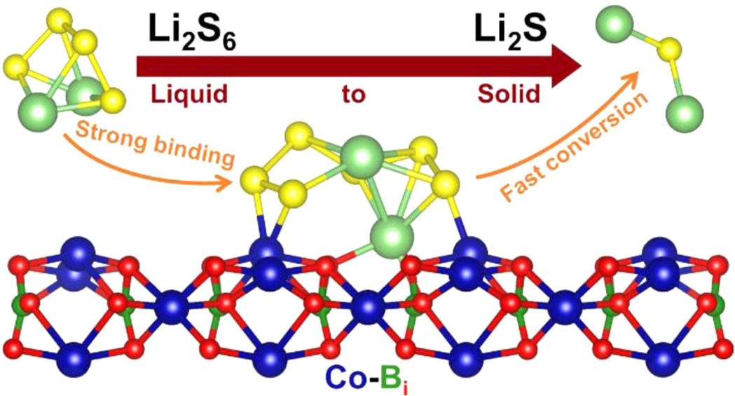 徐立強/趙明文Nano Today：超薄Co-Bi納米片電催化劑調(diào)節(jié)鋰硫電池中的多硫化物中間體