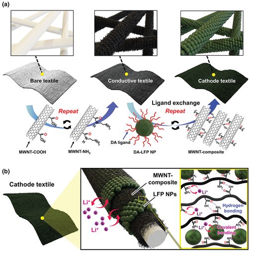 電池日報，8篇頂刊：Adv. Sci.、AEM、Nano Today、AFM、EnSM等成果合集！