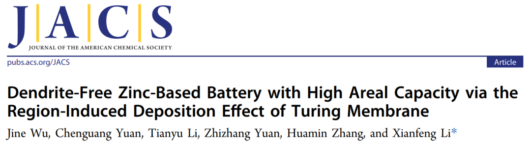 李先鋒JACS: 圖靈膜的區(qū)域誘導(dǎo)沉積效應(yīng)助力高面積容量的無枝晶鋅基電池