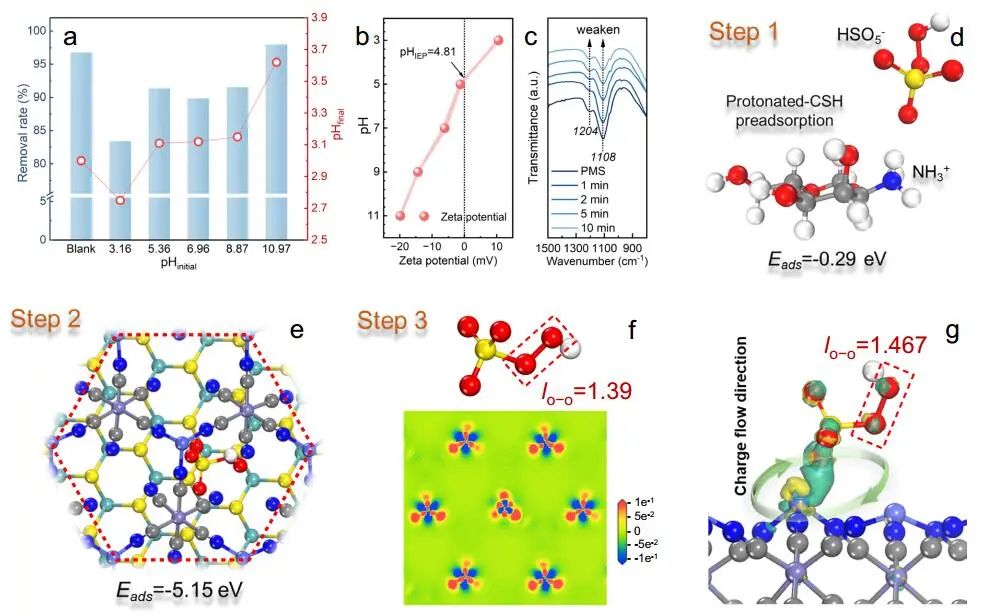 王威/劉冬梅Nature子刊：PBA/MoS2@CSH高效催化PMS！