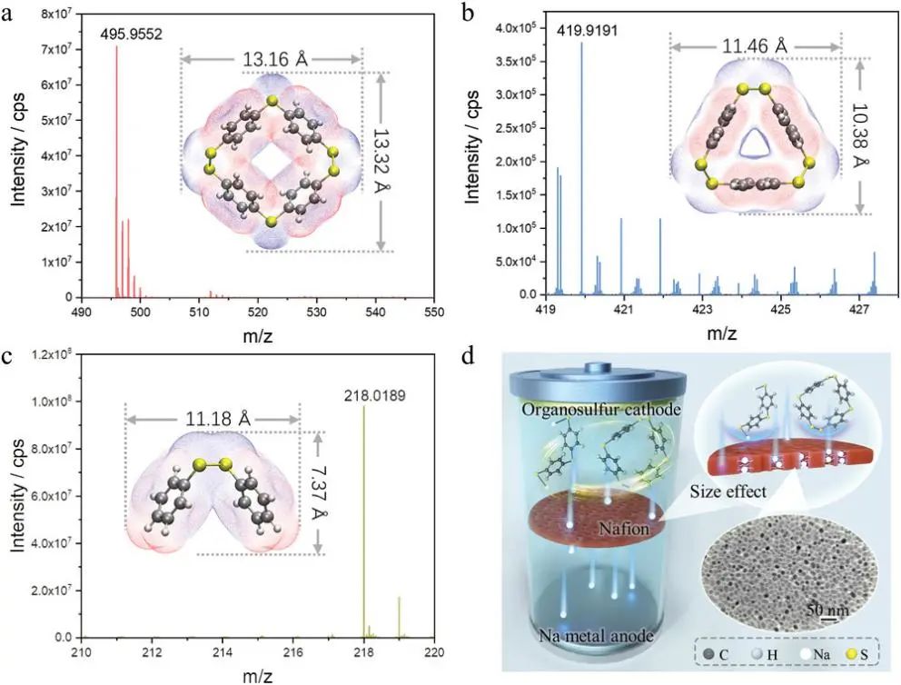 鄭州大學(xué)AM：有機(jī)硫和原位生成低聚物的尺寸效應(yīng)實現(xiàn)高利用率的鈉-有機(jī)硫電池