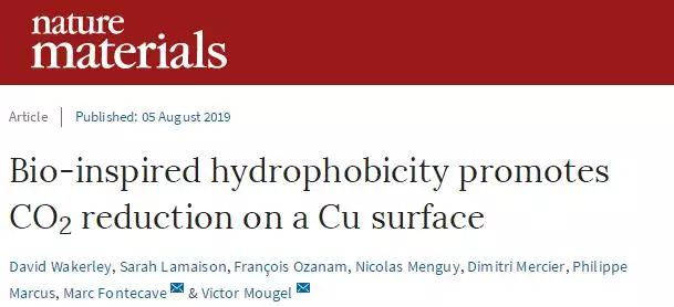 Nature Materials：來自大自然的啟示，構建高效CO2RR界面