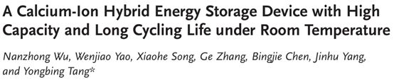 【集錦】能源領(lǐng)域最新進(jìn)展：鈉離子/鉀離子/鈣離子儲(chǔ)能器件，蟻巢狀集成電極