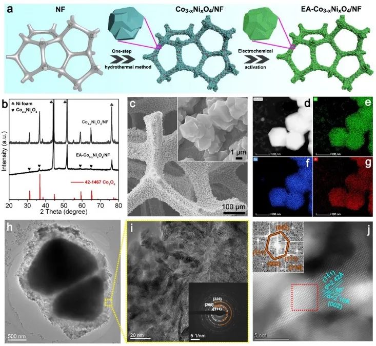 ?ACS Catal.：原位活化Co3-xNixO4作為一種高活性和超穩(wěn)定的HER電催化劑