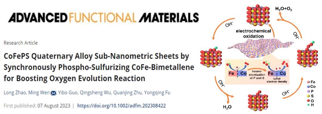 【DFT+實(shí)驗(yàn)】溫鳴教授團(tuán)隊(duì)AFM：通過(guò)雙賤金屬烯的硫磷化實(shí)現(xiàn)CoFePS促進(jìn)高效析氧反應(yīng)