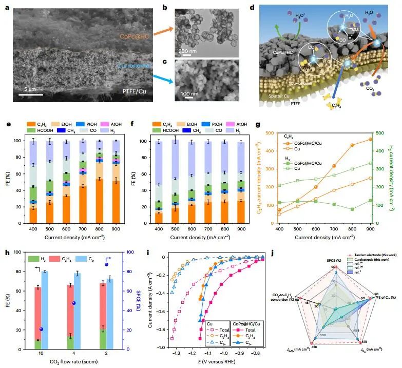 重磅！Edward H. Sargent院士，再發(fā)Nature Nanotechnology！