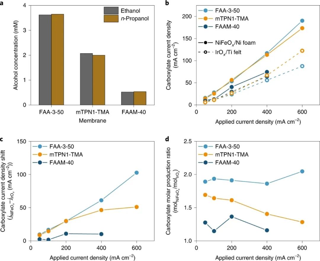 焦鋒教授團隊，最新Nature Catalysis！