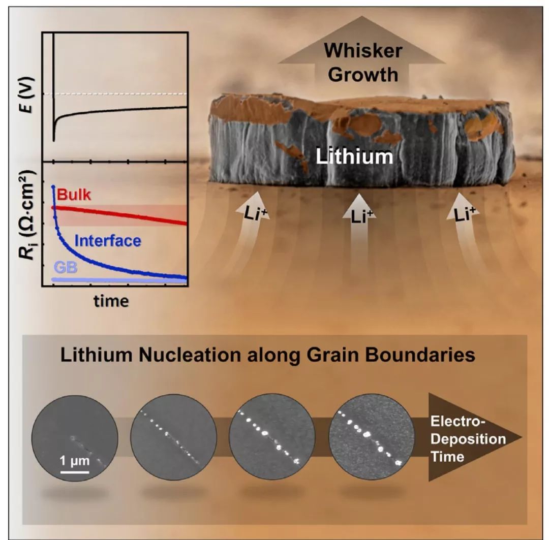 【鋰電】Joule：當(dāng)鋰金屬負(fù)極與石榴石型固態(tài)電解質(zhì)親密接觸，如何構(gòu)建無(wú)枝晶鋰負(fù)極？