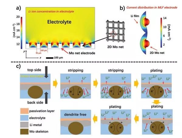 周永寧＆陸俊AEM：不對(duì)稱設(shè)計(jì)高柔韌性鉬網(wǎng)/鋰金屬電極，為鋰沉積提供“自上而下”生長(zhǎng)途徑