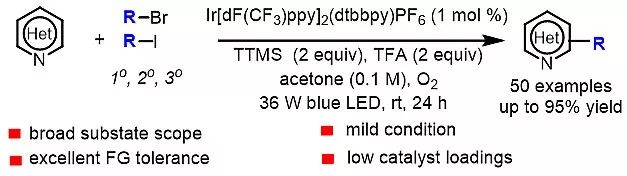 南開汪清民Chem. Sci.封面：光催化非活化鹵代烷烴Minisci C-H鍵烷基化