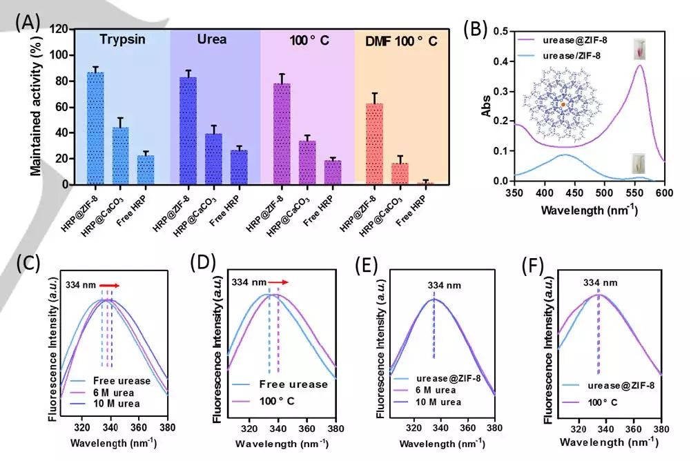 中山大學Angew. 玩轉MOFs，快速高效封裝酶和蛋白質