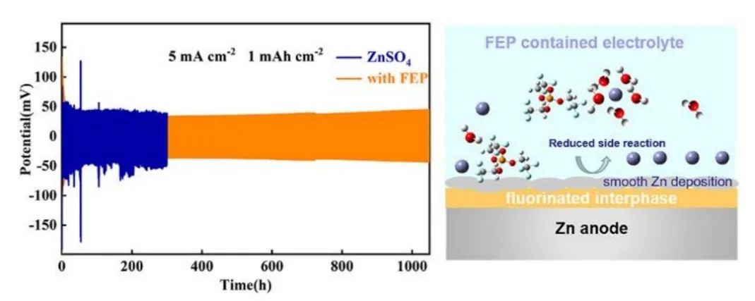 ?哈工大/深大Nano Energy：氟化界面實現(xiàn)無枝晶鋅金屬電池