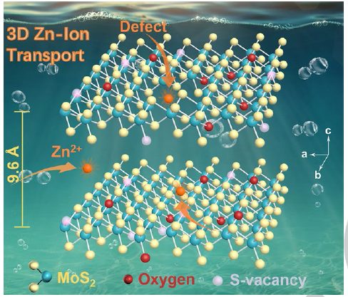 ?劉永暢Angew：MoS2的分子工程助力高性能水系鋅離子存儲