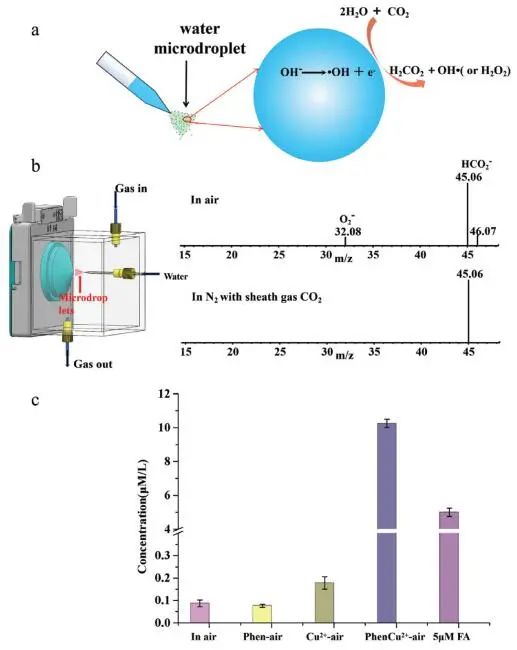 張興磊教授AEM：空氣-水微界面上CO2加氫生成甲酸