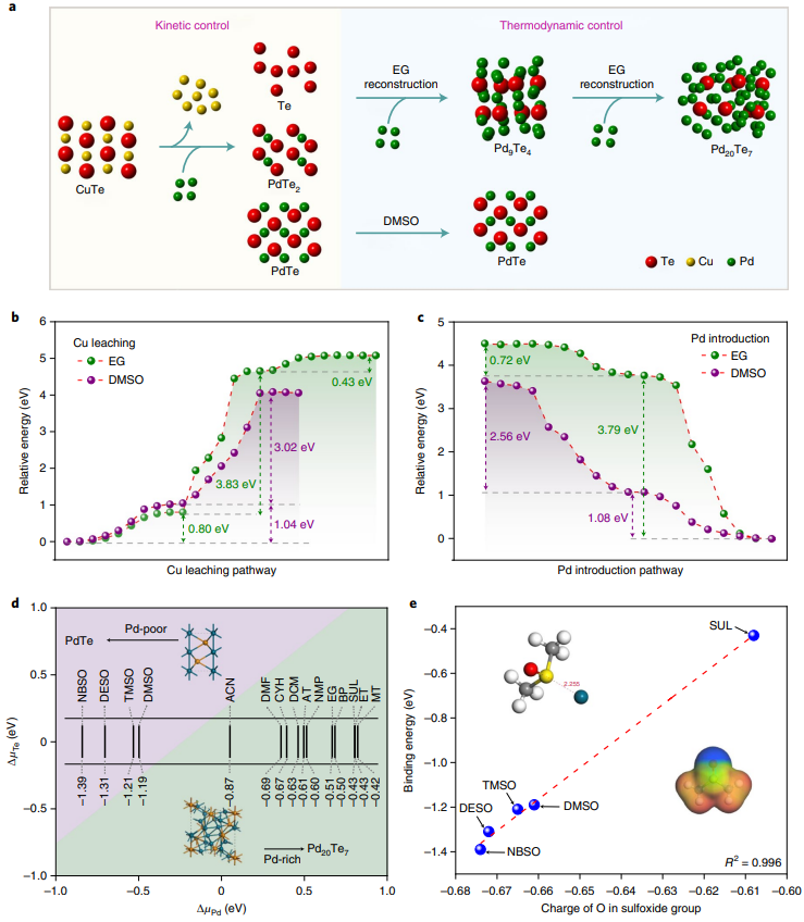 黃小青&徐勇等合作，最新Nature Synthesis！