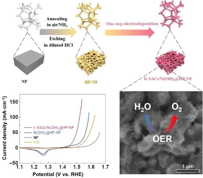 劉崗/甄超Nano Research：Ir SACs/Ni(OH)2@HP-NF助力高效OER