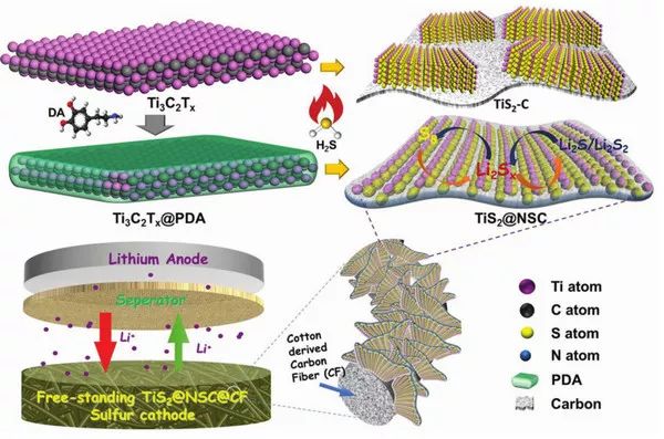 【電池】昆士蘭大學王連洲團隊最新AEM：N，S共摻雜三明治狀超薄TiS2納米片助力鋰硫電池