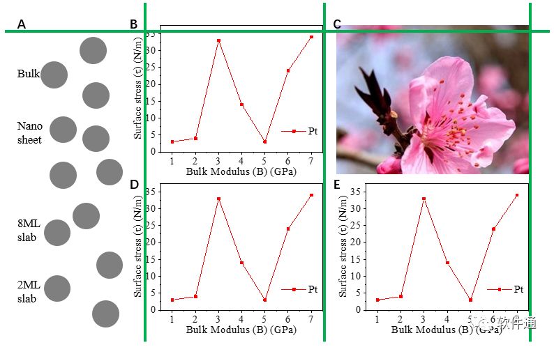 從一篇Science文章，告訴你怎么對(duì)數(shù)據(jù)圖進(jìn)行排版（PPT拼圖篇）