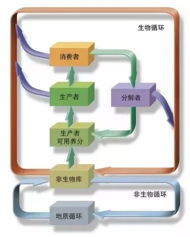 【制圖干貨】從細節(jié)入手，頂刊paper中的箭頭怎么畫？