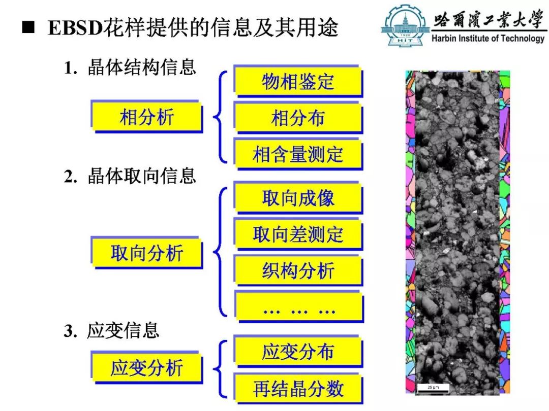 快看這里丨高效撰寫(xiě)畢業(yè)論文之Origin快速制圖