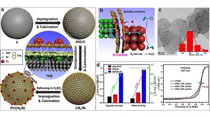 南大丁維平團(tuán)隊(duì)：極具優(yōu)勢的新型三元異質(zhì)結(jié)構(gòu)低鉑催化劑-Pt/CNx/Ni