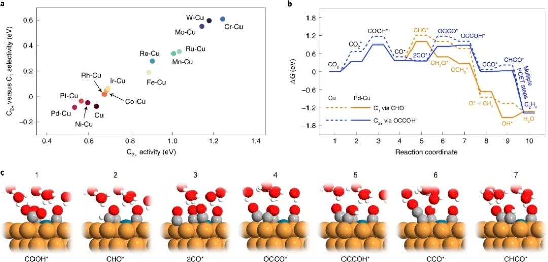 Edward H. Sargent院士和王瑩教授，最新Nature Catalysis！