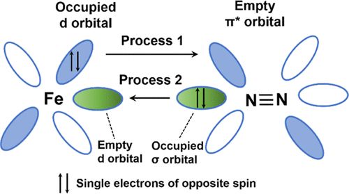 【計(jì)算+實(shí)驗(yàn)】案例解讀：ACS Catalysis、EES、AM、Angew等8篇最新頂刊！